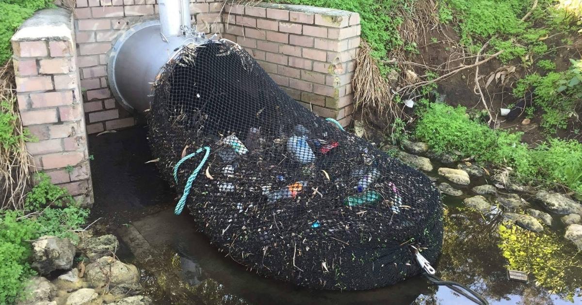 Drain net in Australia catching garbage.