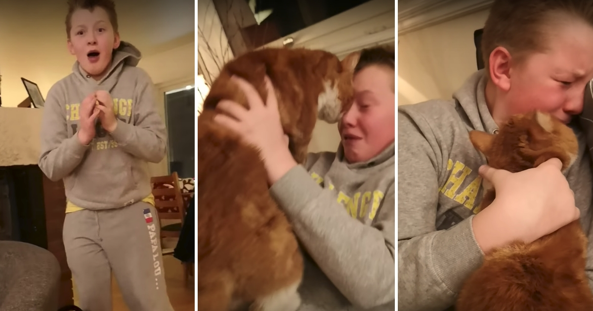 Boy Reunites with Cat