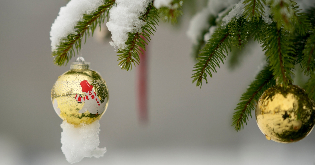 Christmas Ornament on Tree