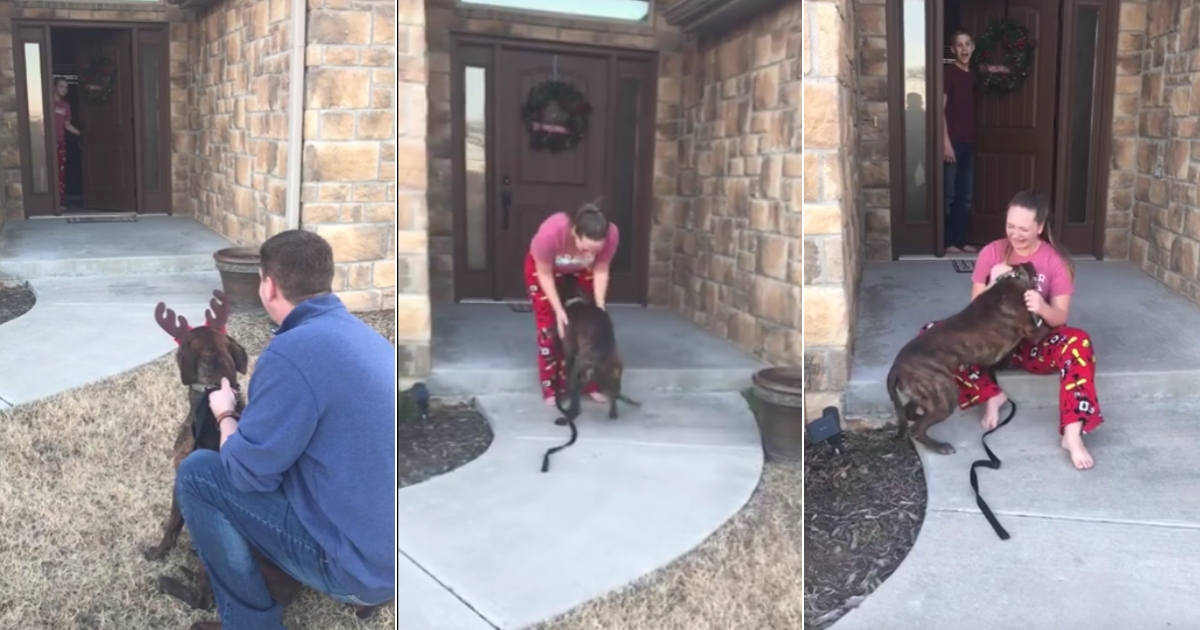 Parents surprise daughter with a dog.