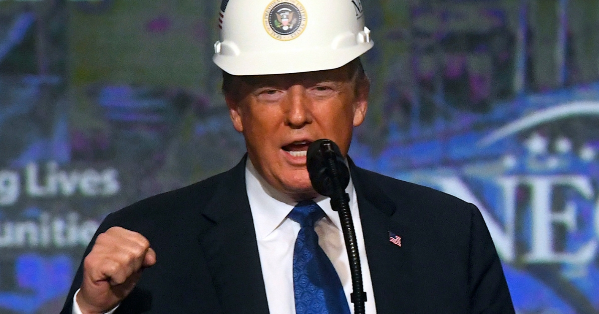 President Donald Trump in a hard hat