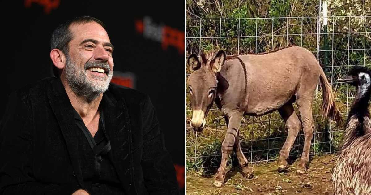 Jeffrey Dean Morgan, left, and the donkey and emu he adopted, right.