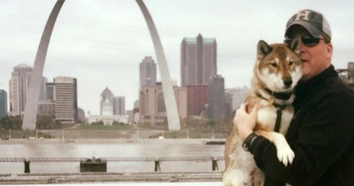 A man poses with his dog in front of the St. Louis Arch.