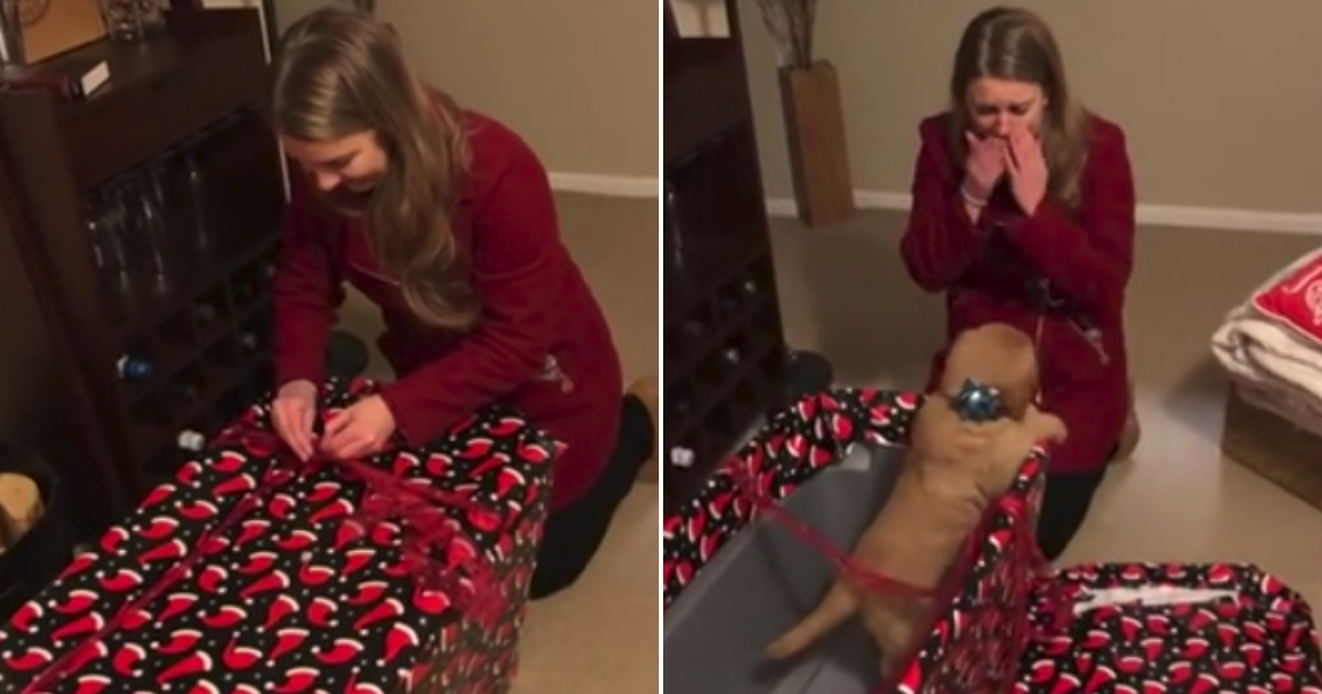 A woman is surprised with a puppy for Christmas.