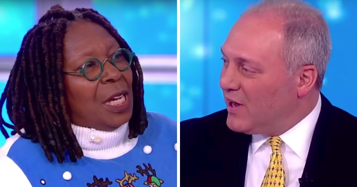 Host Whoopi Goldberg and Rep. Steve Scalise debated gun control on ABC's "The View."