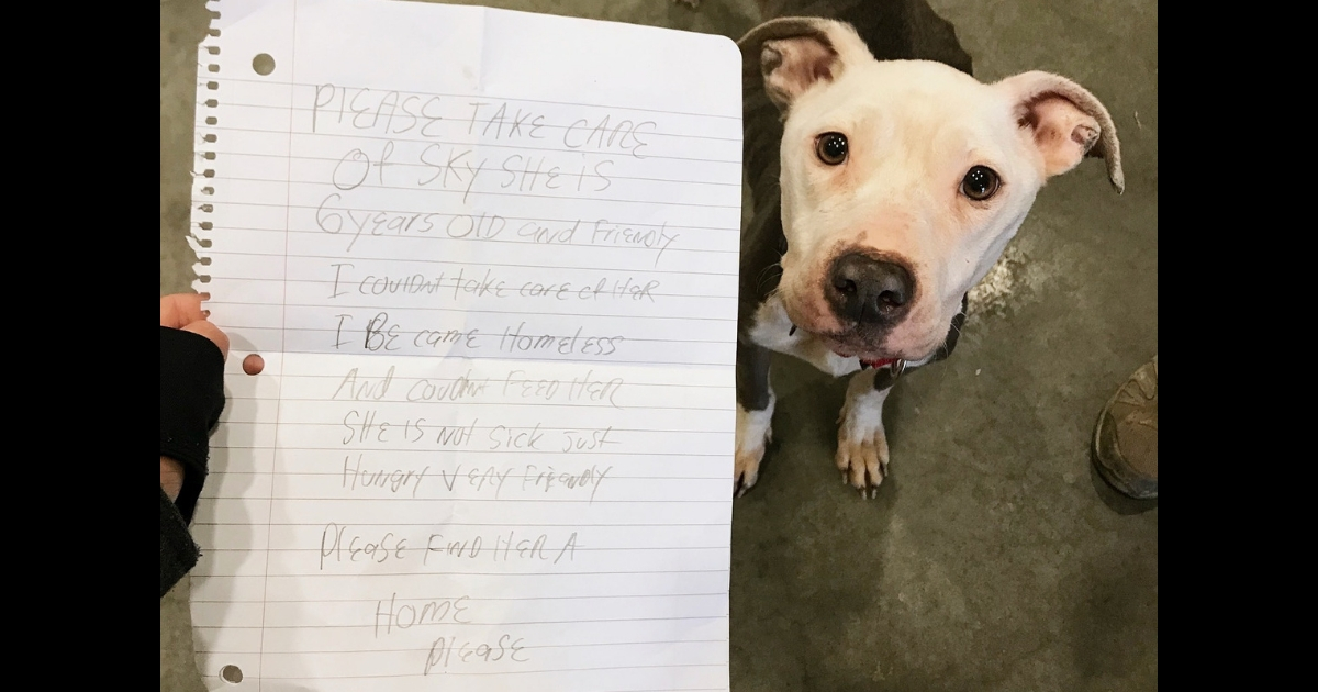 Dog Left at Shelter with Heartbreaking Note