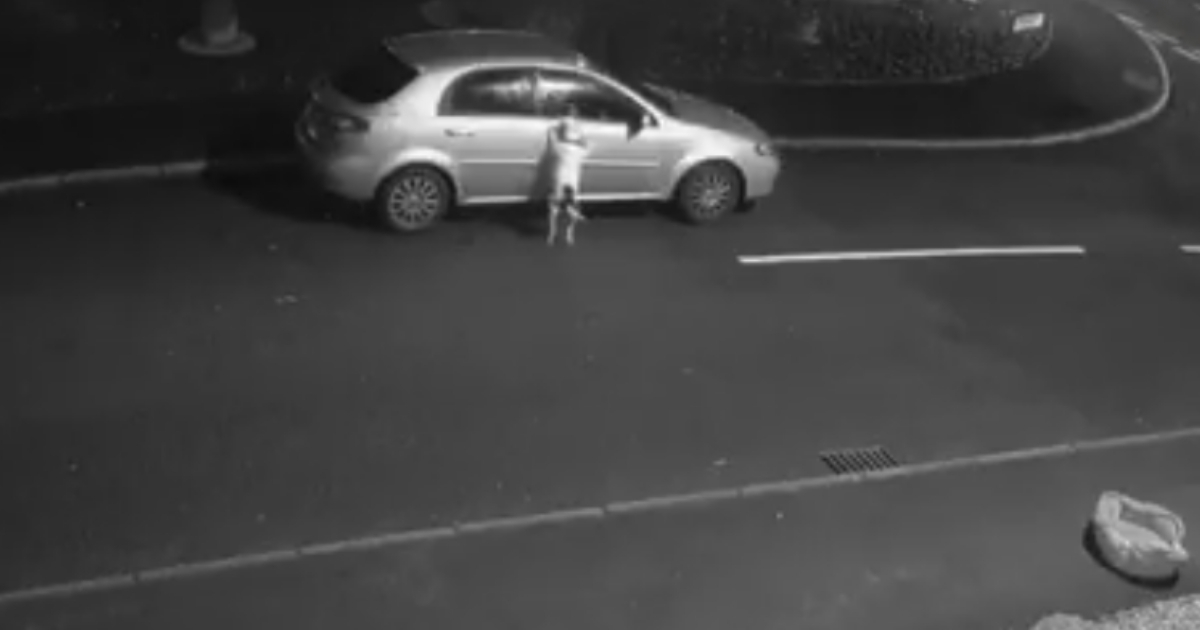 A dog jumping at car as driver leaves him.
