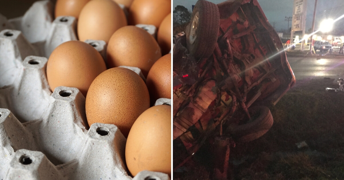 Egg Prank Murder