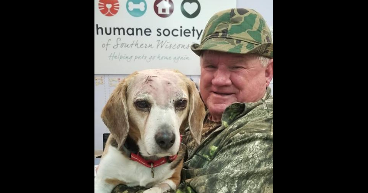 A hurt beagle and the man who rescued him.