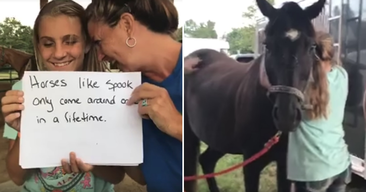 Girl Reunites with Horse