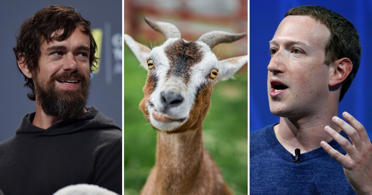 Jack Dorsey, left, a goat, center, and Mark Zuckerberg, left.