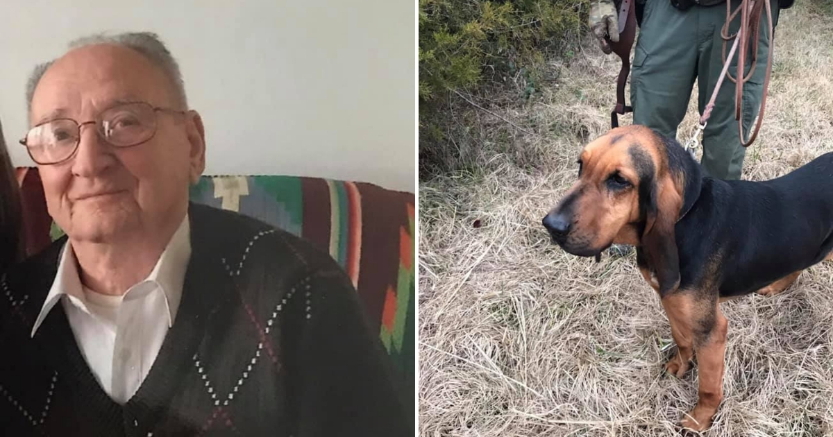 K9 Finds Lost Man