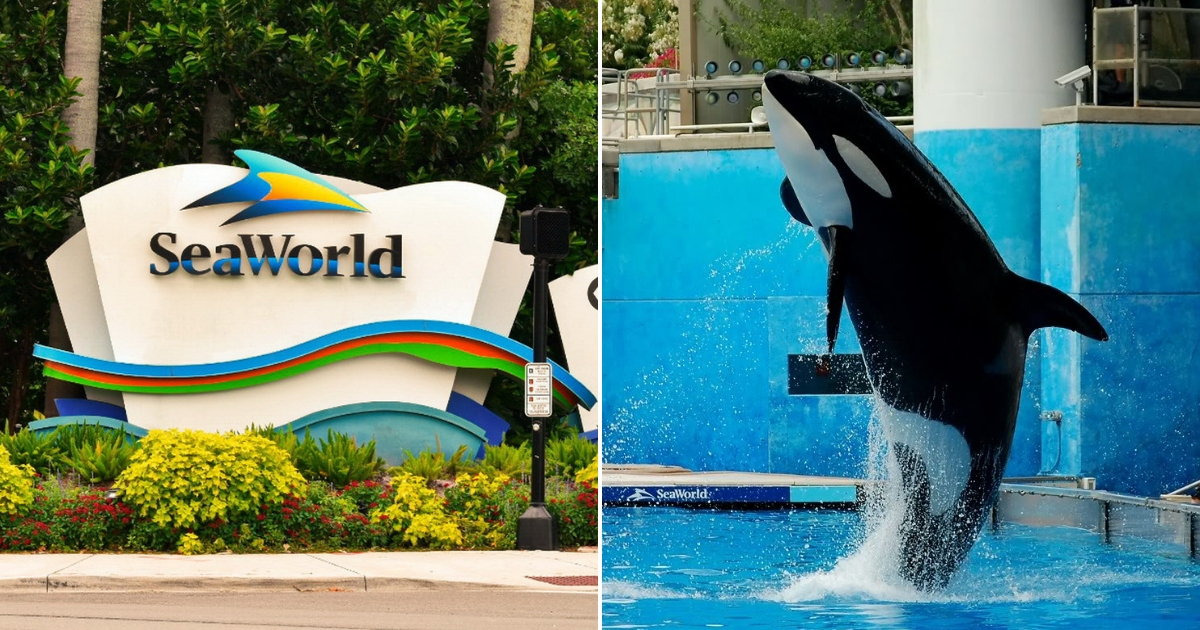 SeaWorld, left, and whale, right.
