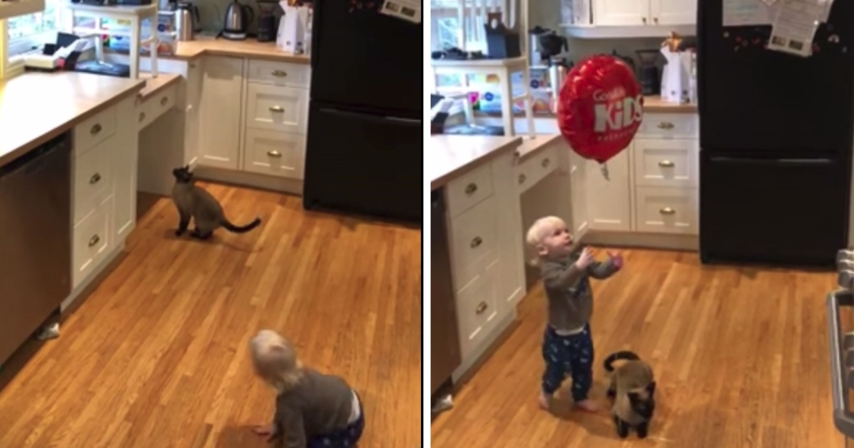 Toddler Balloon Rescue