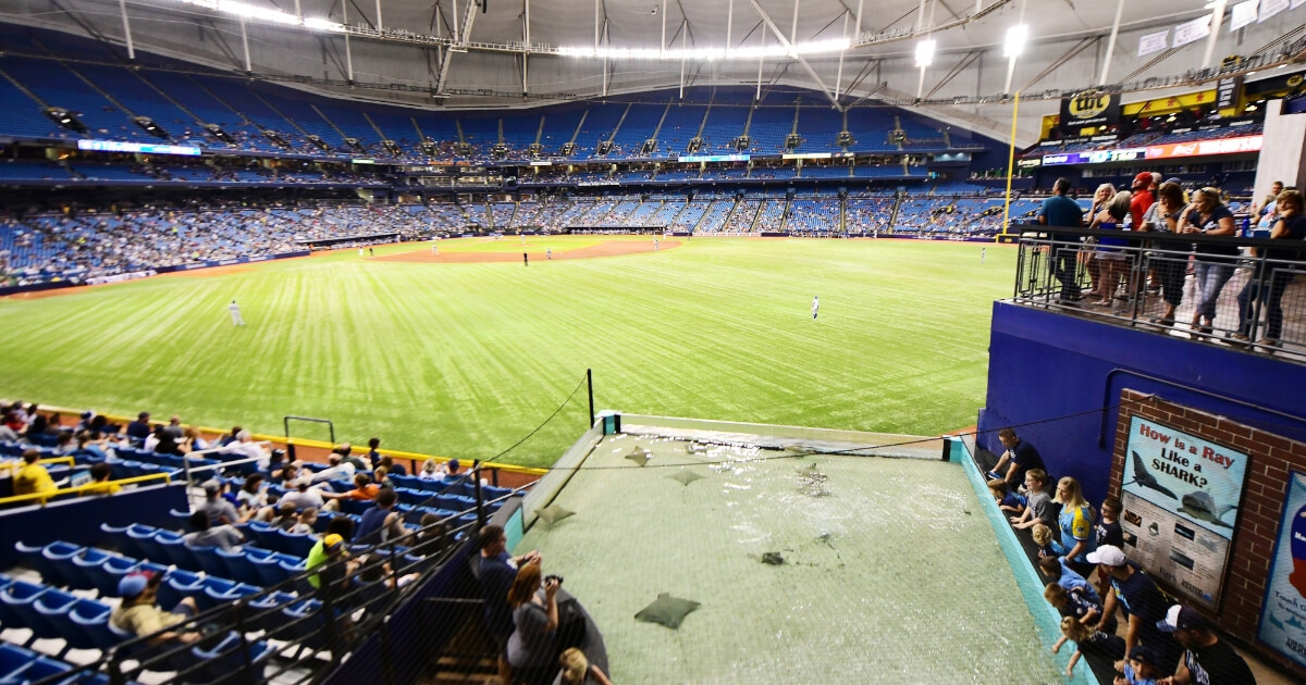 Fans enjoy the stingray tank during the sixth inning of a Tampa Bay Rays game against the Toronto Blue Jays on Sept. 29, but most of the seats at the ballpark in St. Petersburg, Florida, sit empty.