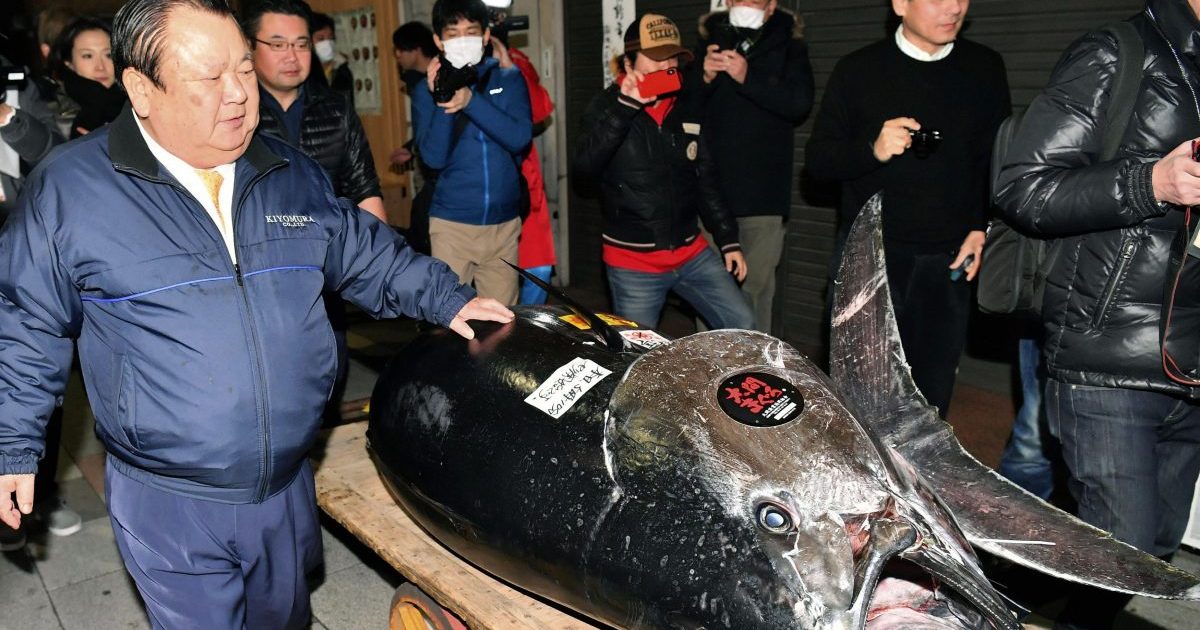 Kiyomura Corp. owner Kiyoshi Kimura stands near the bluefin tuna for which he made a wining bid at the annual New Year auction, in Tokyo, Jan. 5, 2019.