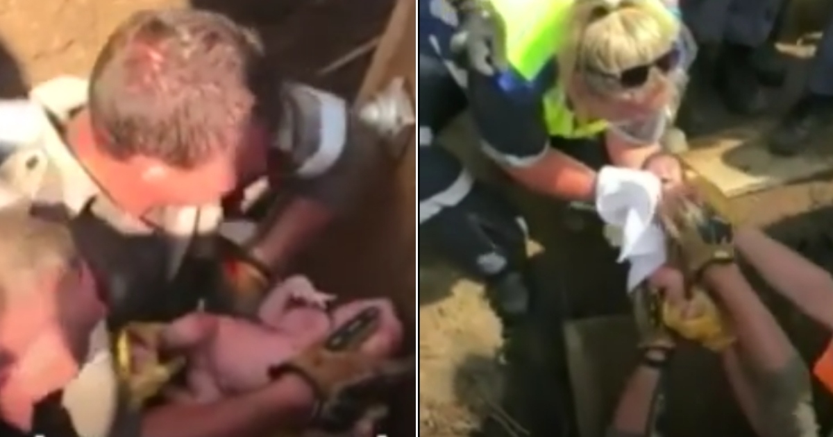 Baby rescued from storm drain.