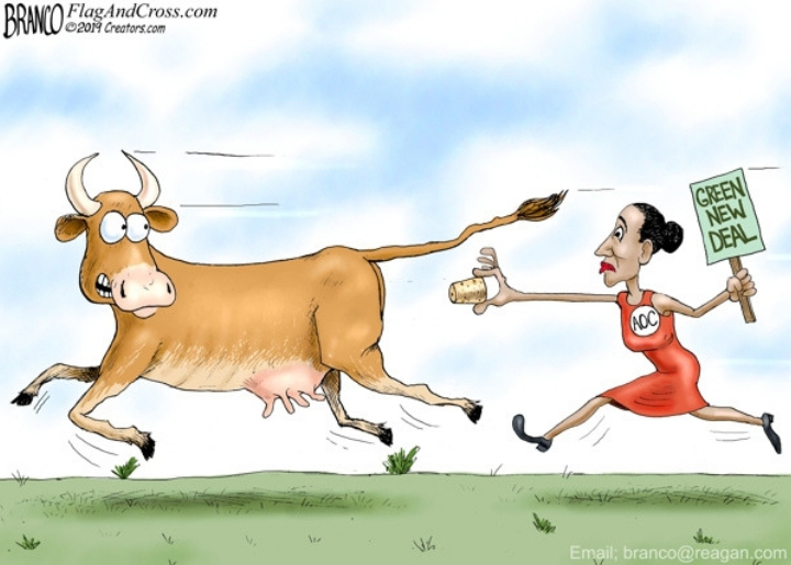 Alexandria Ocasio-Cortez chasing a cow