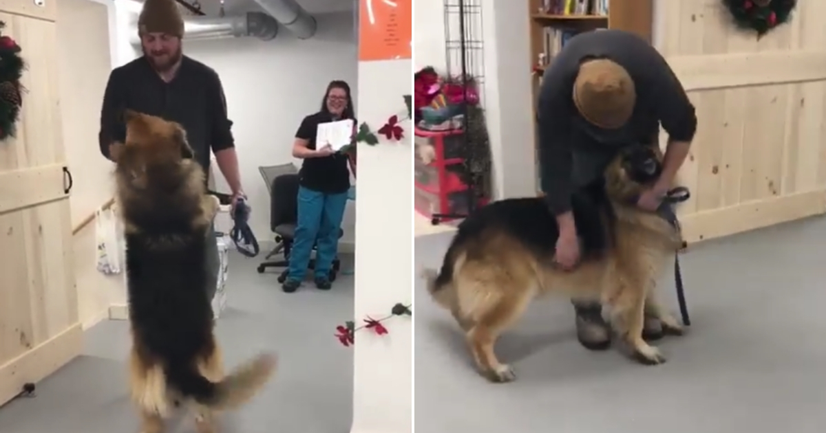Dog reunited with his owner after 8 months apart.