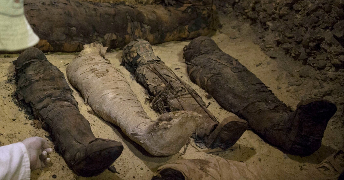Egypt Mummies
