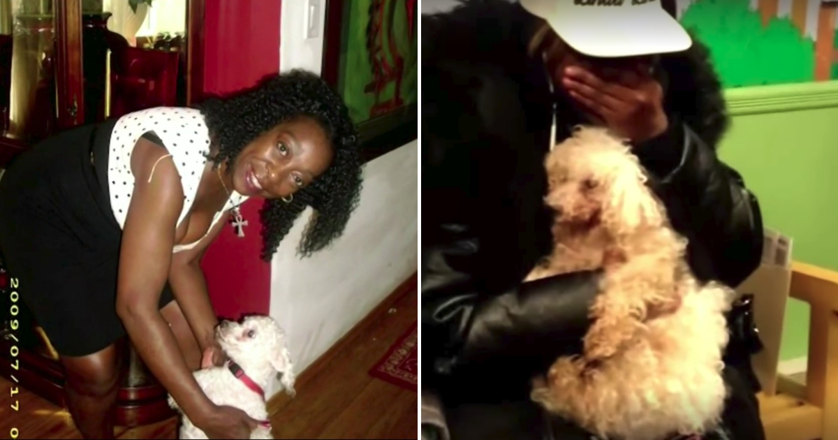 Family Reunites with Lost Dog