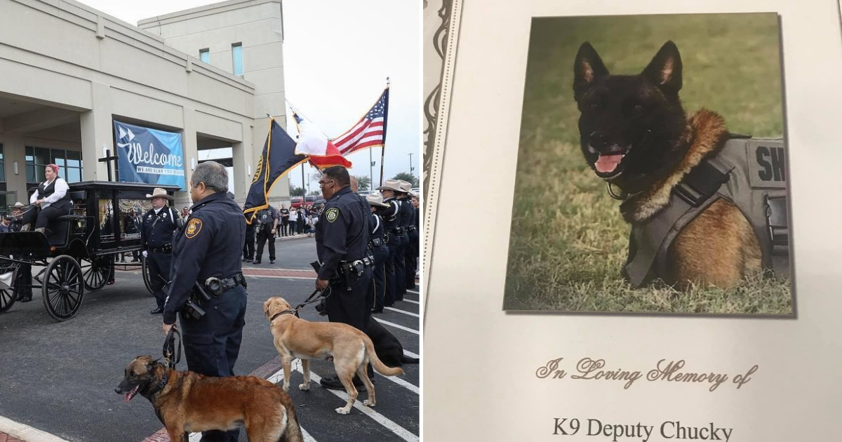 K9 Funeral Procession