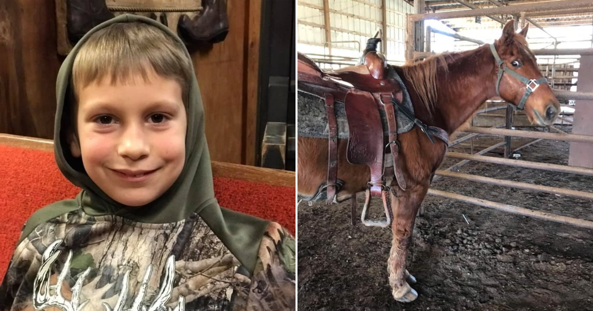 Little boy, left, and horse, right.