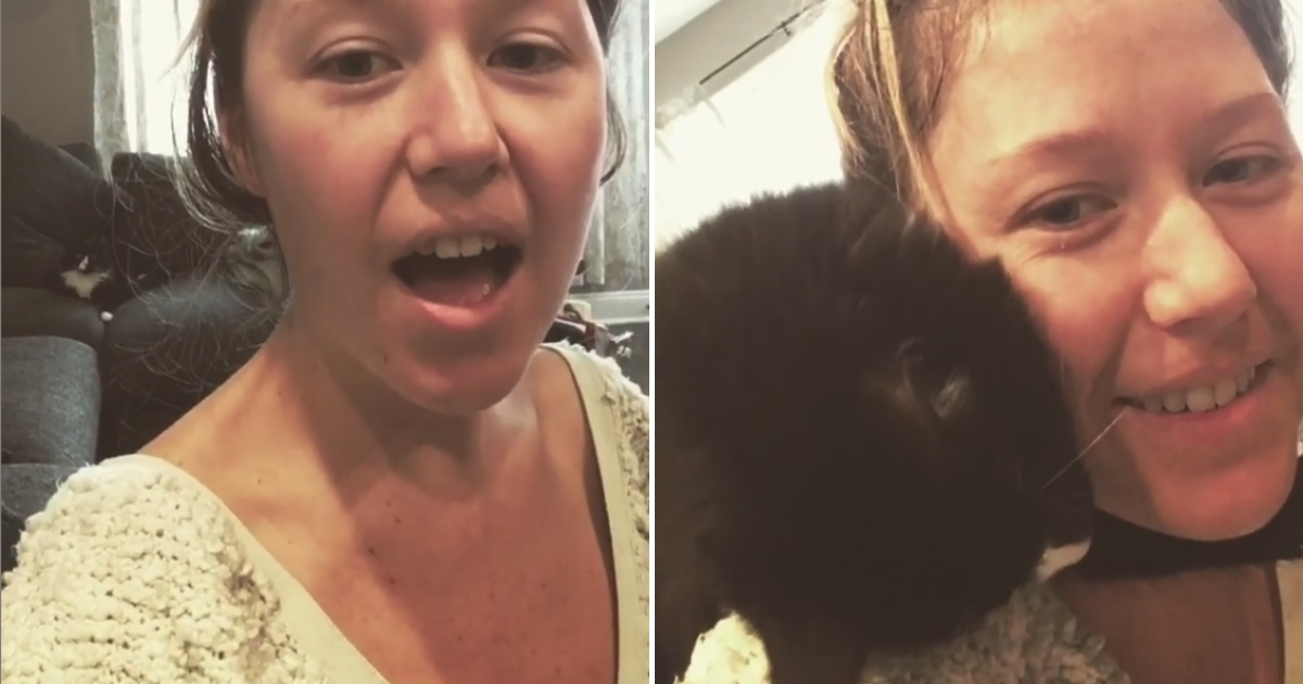 Cat attacks owner who is singing.