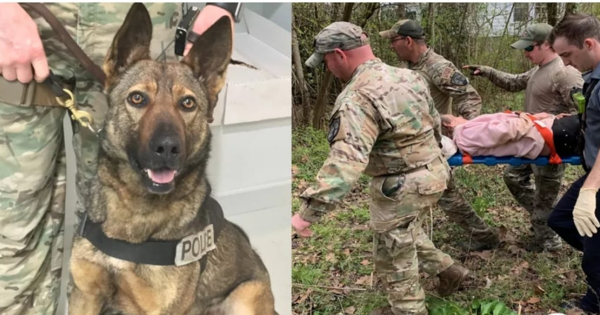 Police dog, left, and police men carrying woman on stretcher, right.
