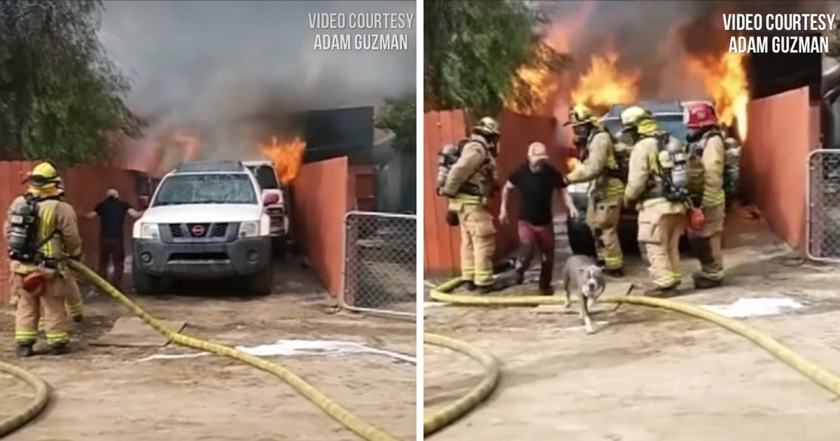 Man saves dog from fire