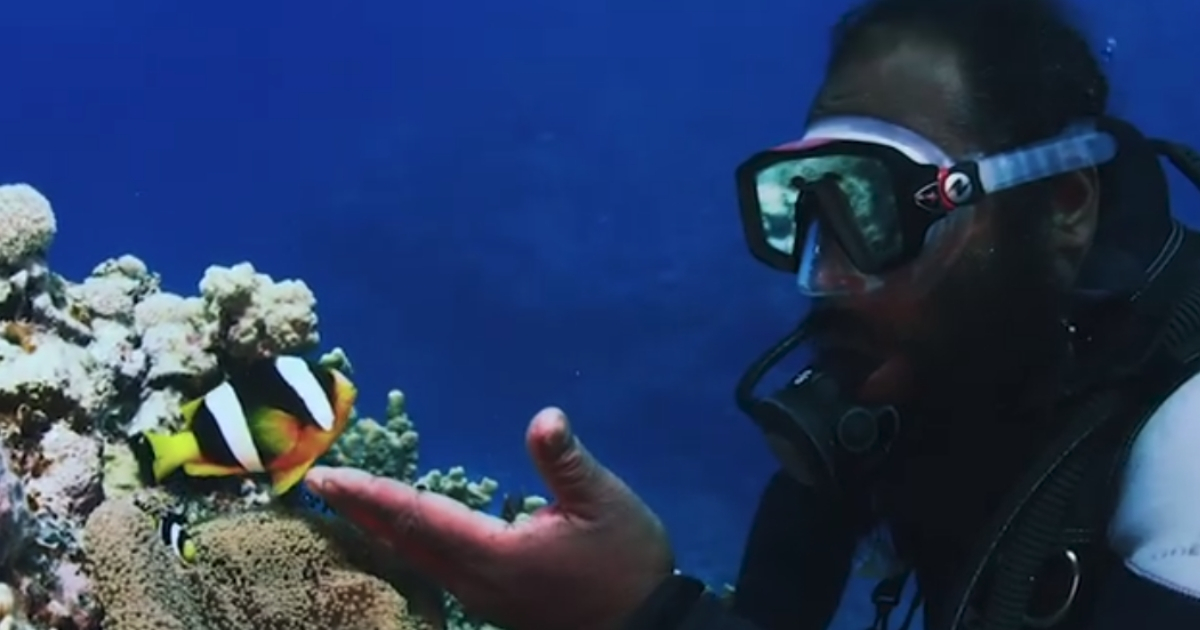 Scuba Diver and Nemo