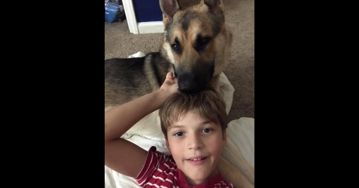 A boy is reunited with his stolen dog.
