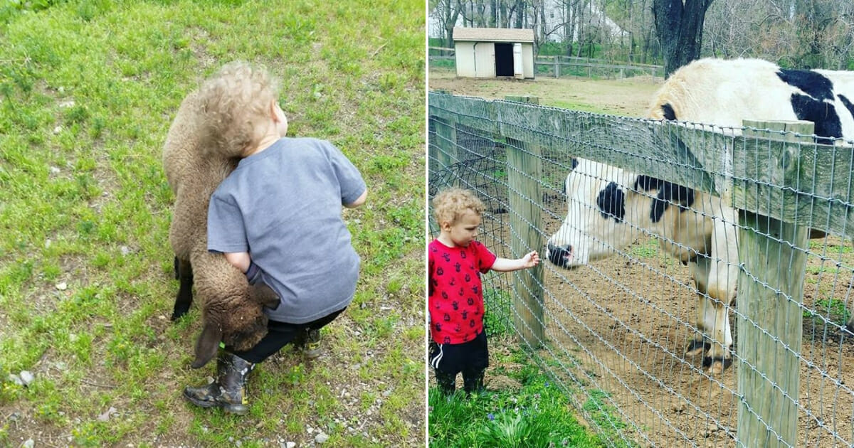 Boy cuddling with farm animals