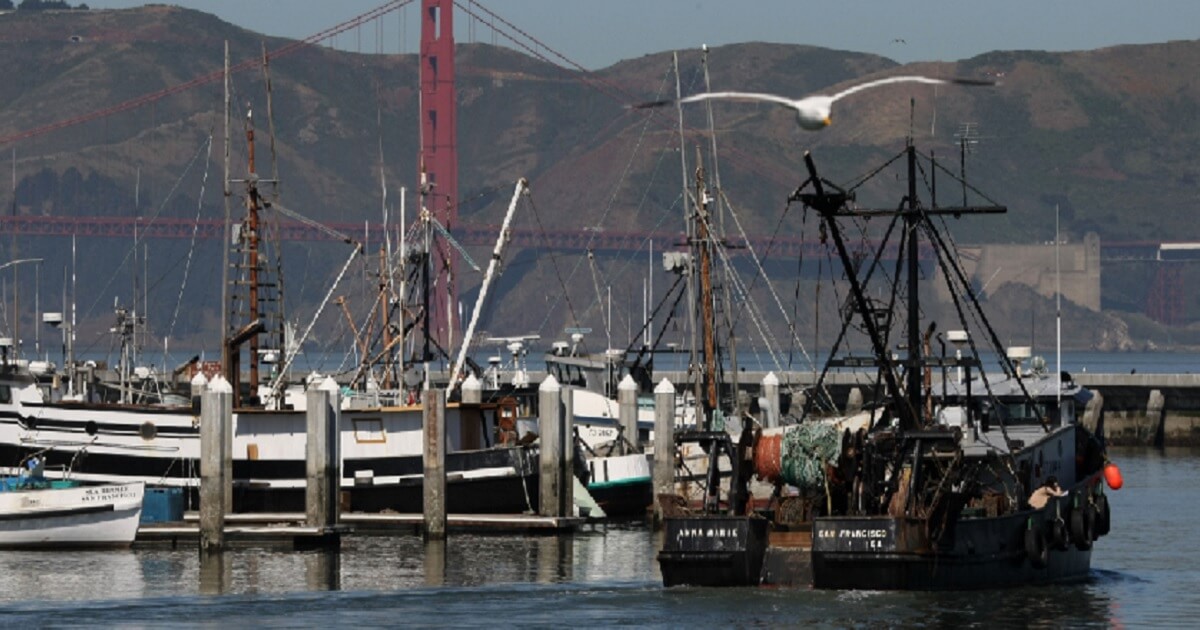 A fishing boat docks in San Francisco in 2008.