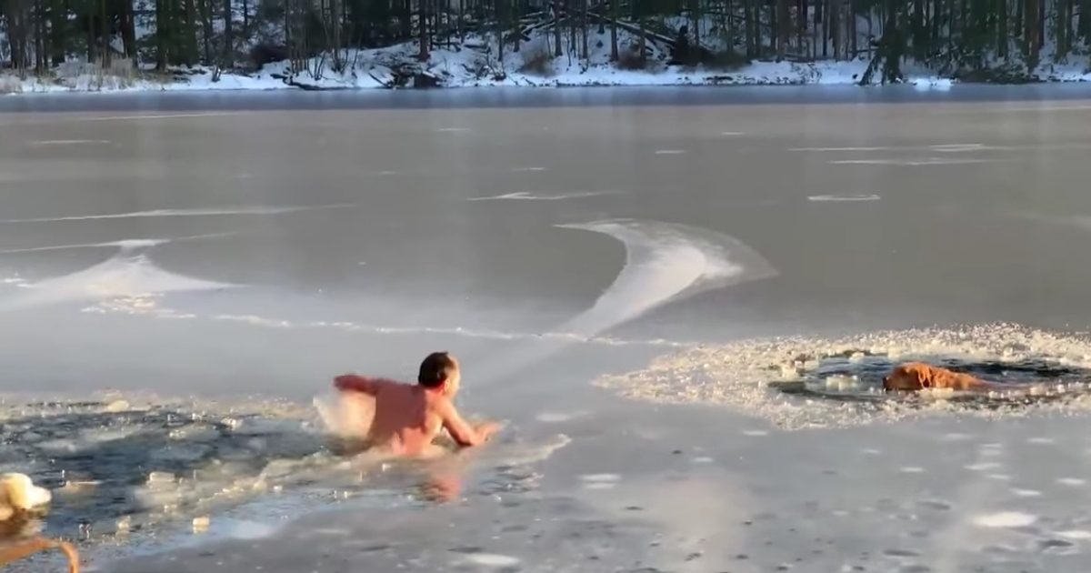 Man rescues dogs in frozen lake.
