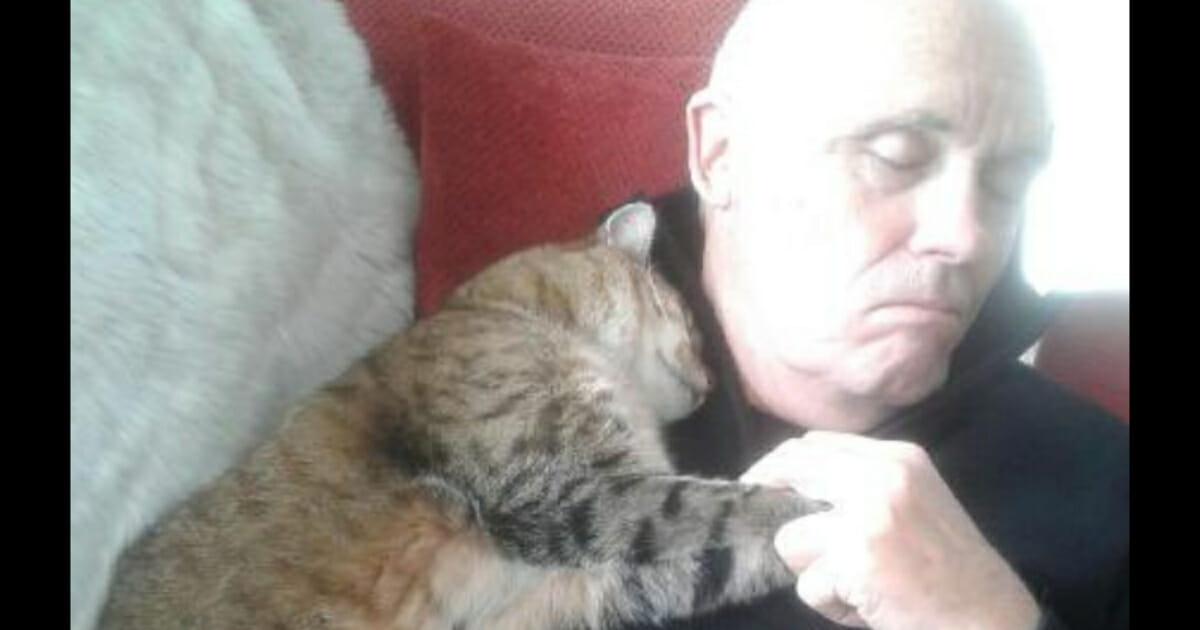 A cat curled up next to a man and took a nap.