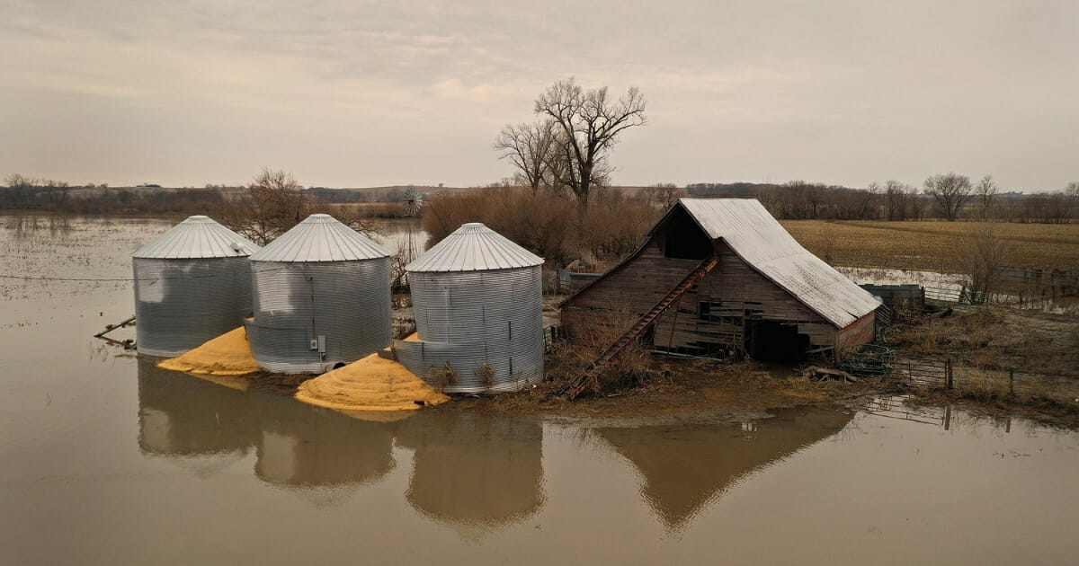 Corn burst from a grain bin which was soaked with floodwater on March 23, 2019, near Union, Nebraska.