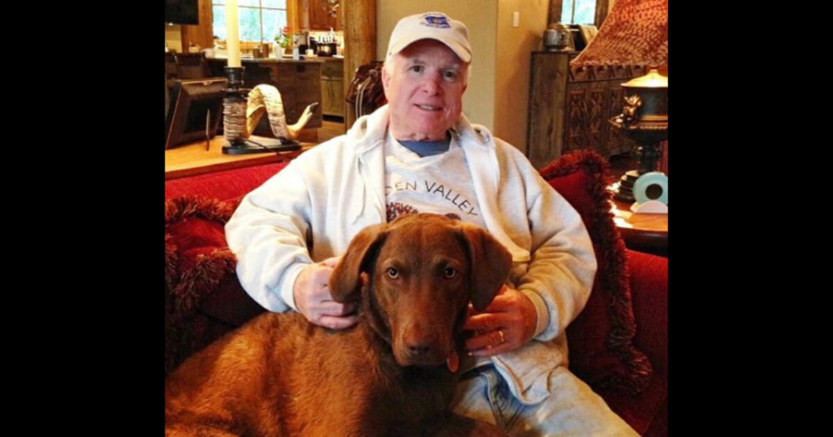 The late John McCain with the family dog.