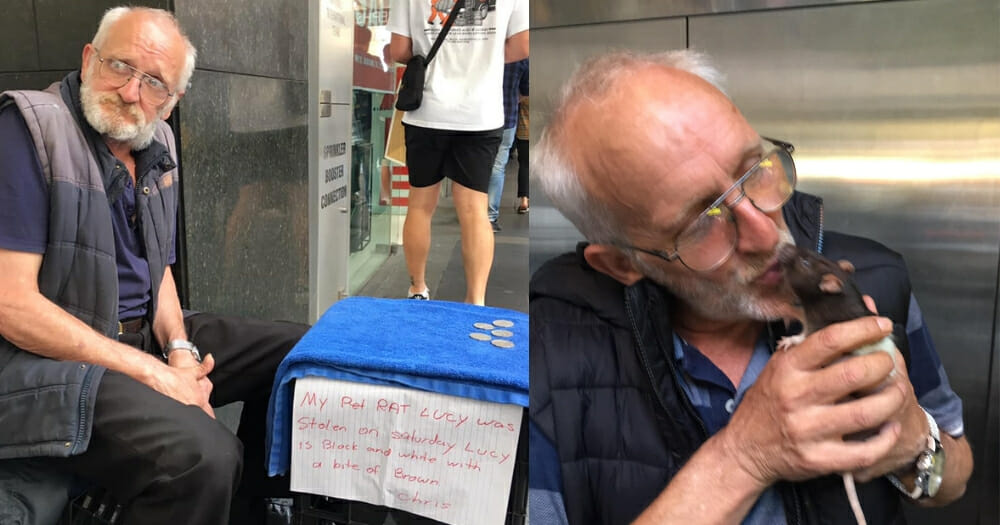Homeless man sits beside sign that begs passersby to help locate his missing rat, left, man is reunited with his pet rat, right
