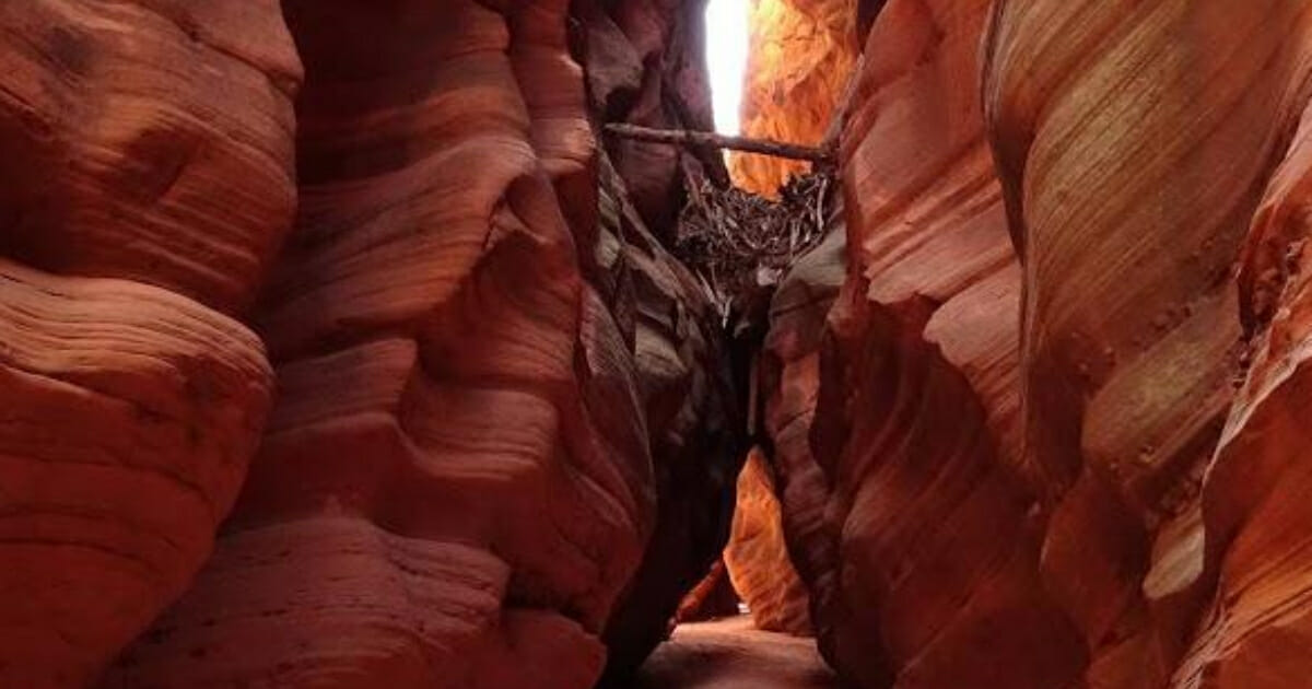 A narrow slot canyon.