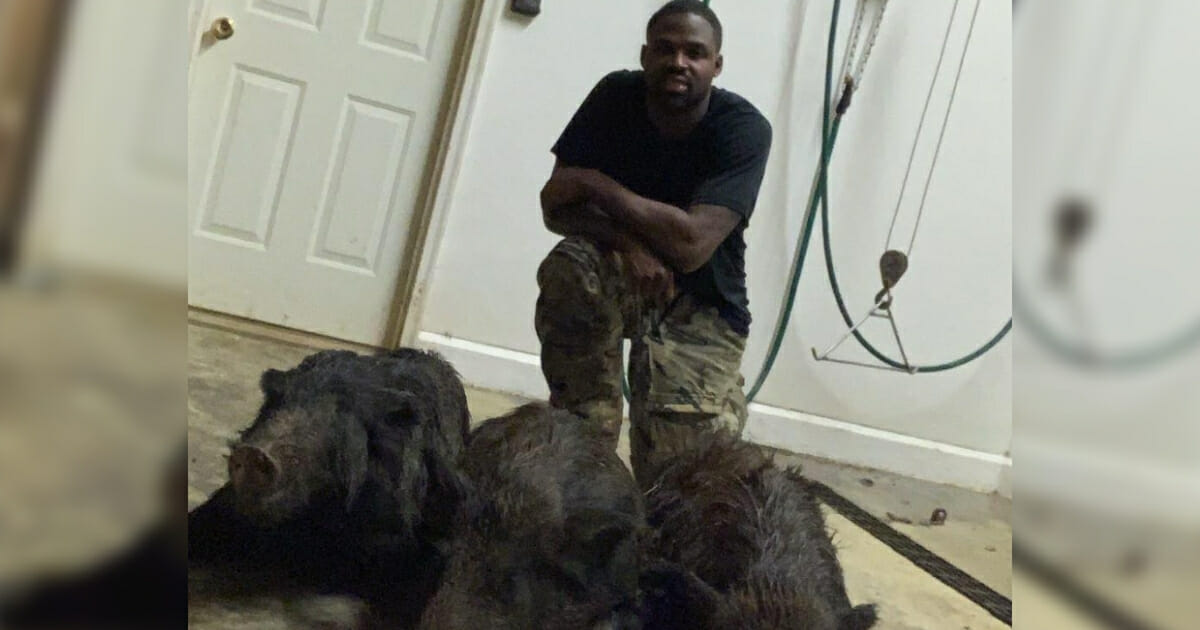 Carolina Panthers wide receiver poses with three dead hogs.