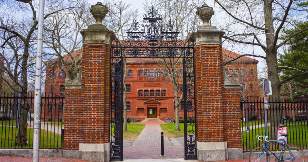 Harvard entrance