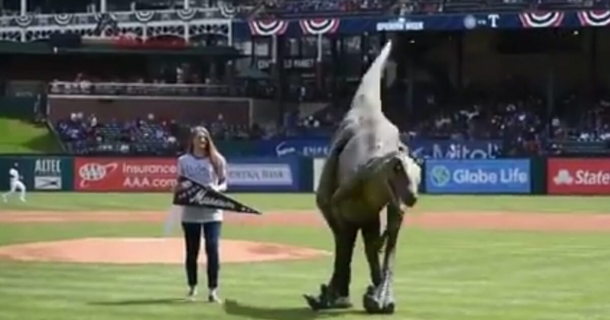 'Roxy' the dinosaur attempts to throw the ceremonial first pitch at Globe Life Park before a game between the Texas Rangers and Chicago Cubs on Sunday, March 31, 2019 in Arlington, Texas.