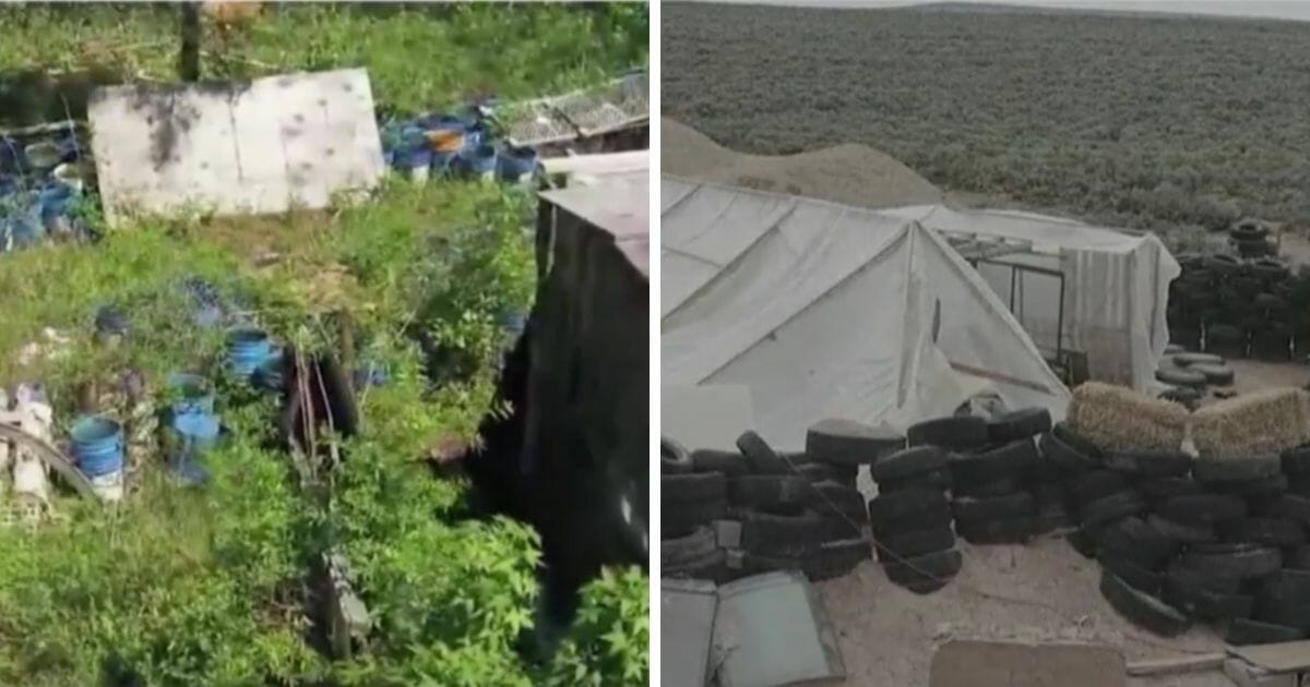 Alabama terror compound vs New Mexico terror compound