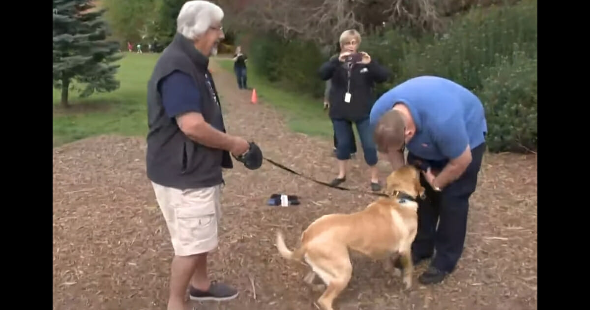 The dog's owners meet and thank the bus driver who saved their pup.