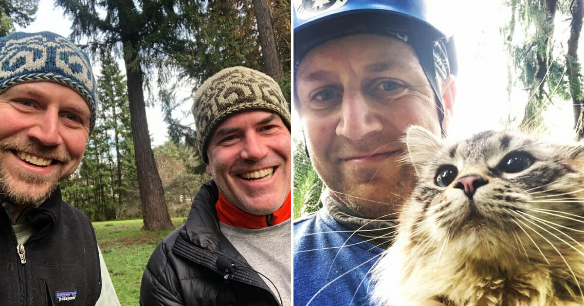 Cat Tree Rescuers