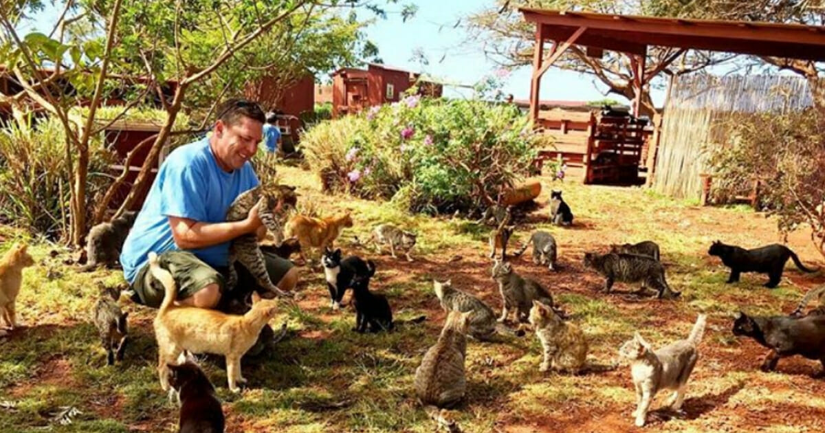 Man surrounded by cats at the sanctuary.