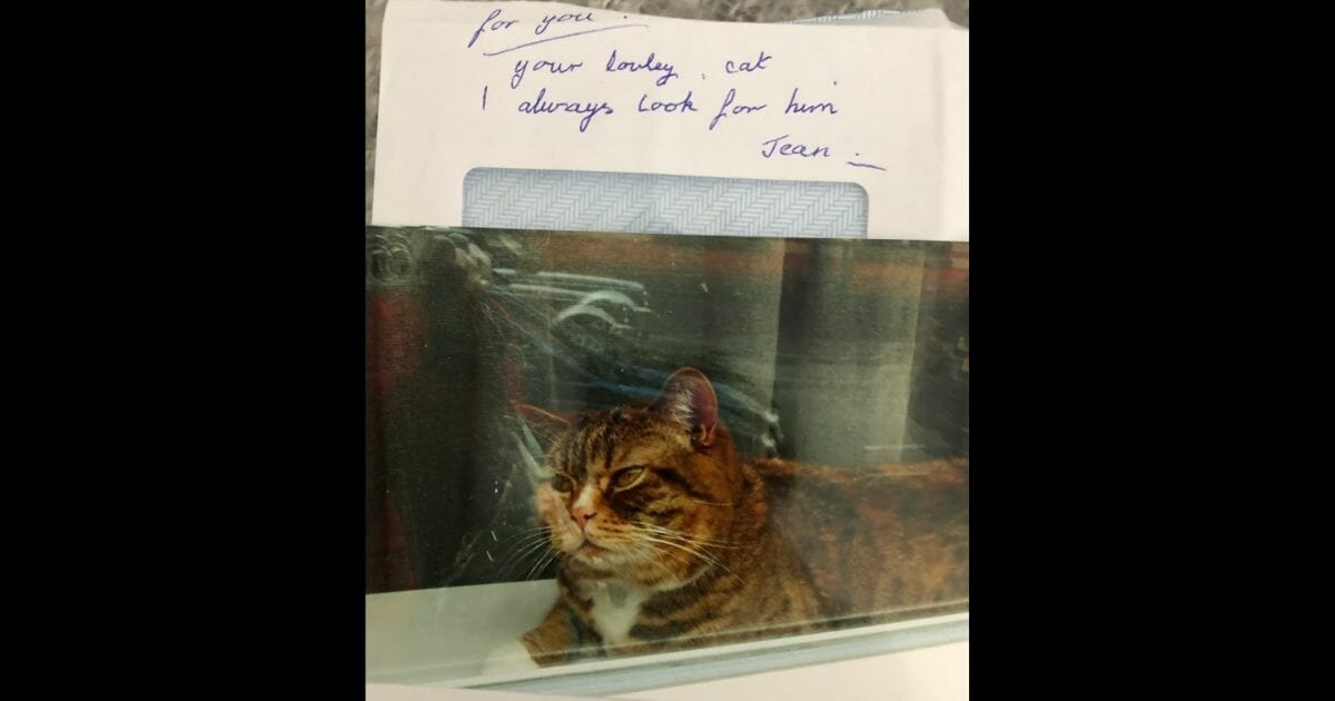 Developed photo of cat and note scrawled on envelope.