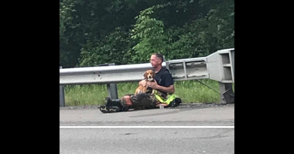 Fireman sits on side of road and holds dog.
