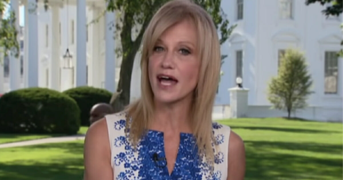 White House counselor Kellyanne Conway breathed defiance Monday as she discussed a report from the Office of Special Counsel that demanded she be fired for allegedly violating the Hatch Act.
